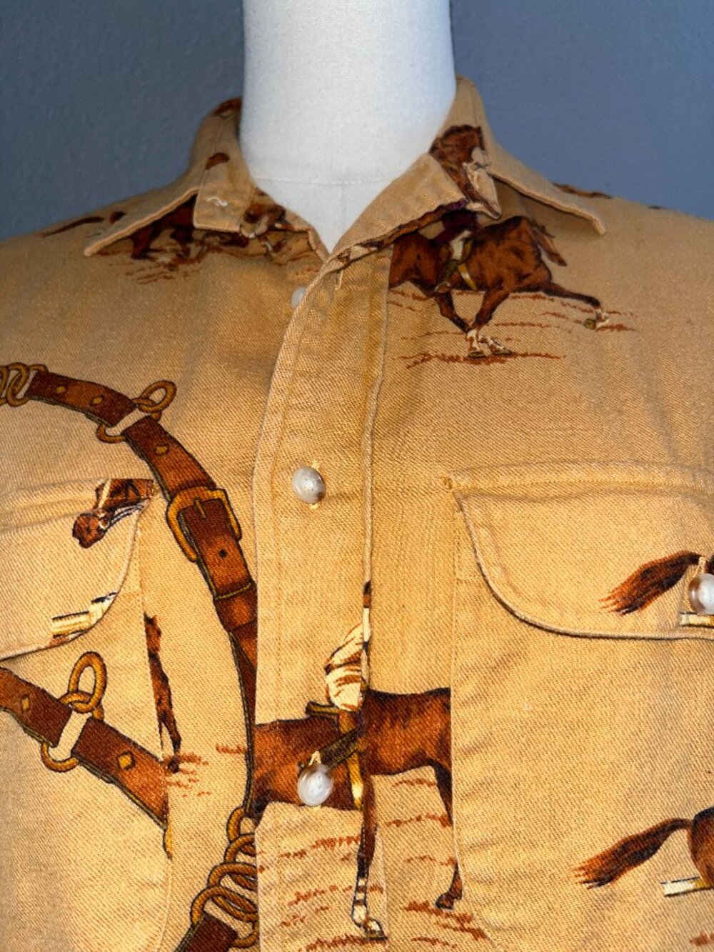 VINTAGE RALPH LAUREN POLO EQUESTRIAN HORSE COWGIRL BUTTON DOWN SHIRT BLOUSE -  8 - Picture 2 of 11